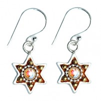 Enamel Star of David Earrings - Bronze 